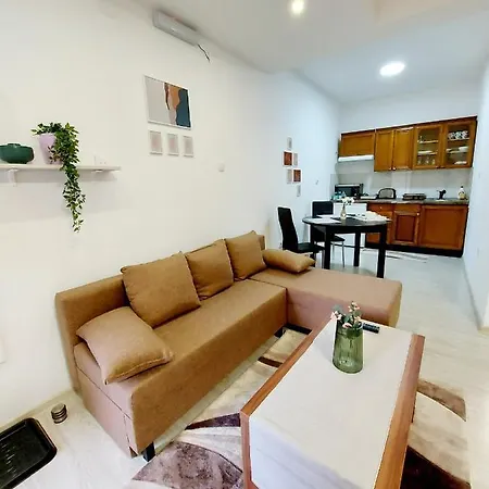 Daisy Novi Sad- Sremska Kamenica