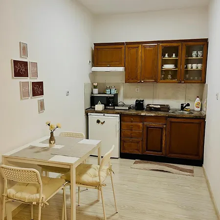 Apartmán Daisy Novi Sad- *